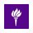 Monitor Area icon